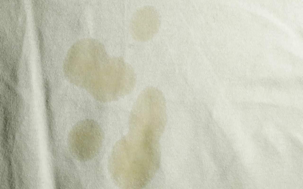 Come si fa a togliere le macchie di umidità dai tessuti? Il rimedio per tovaglie o tende