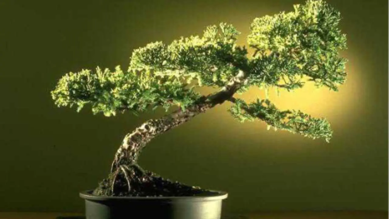 Energie negative: come liberarsene e migliorare il proprio benessere ogni giorno