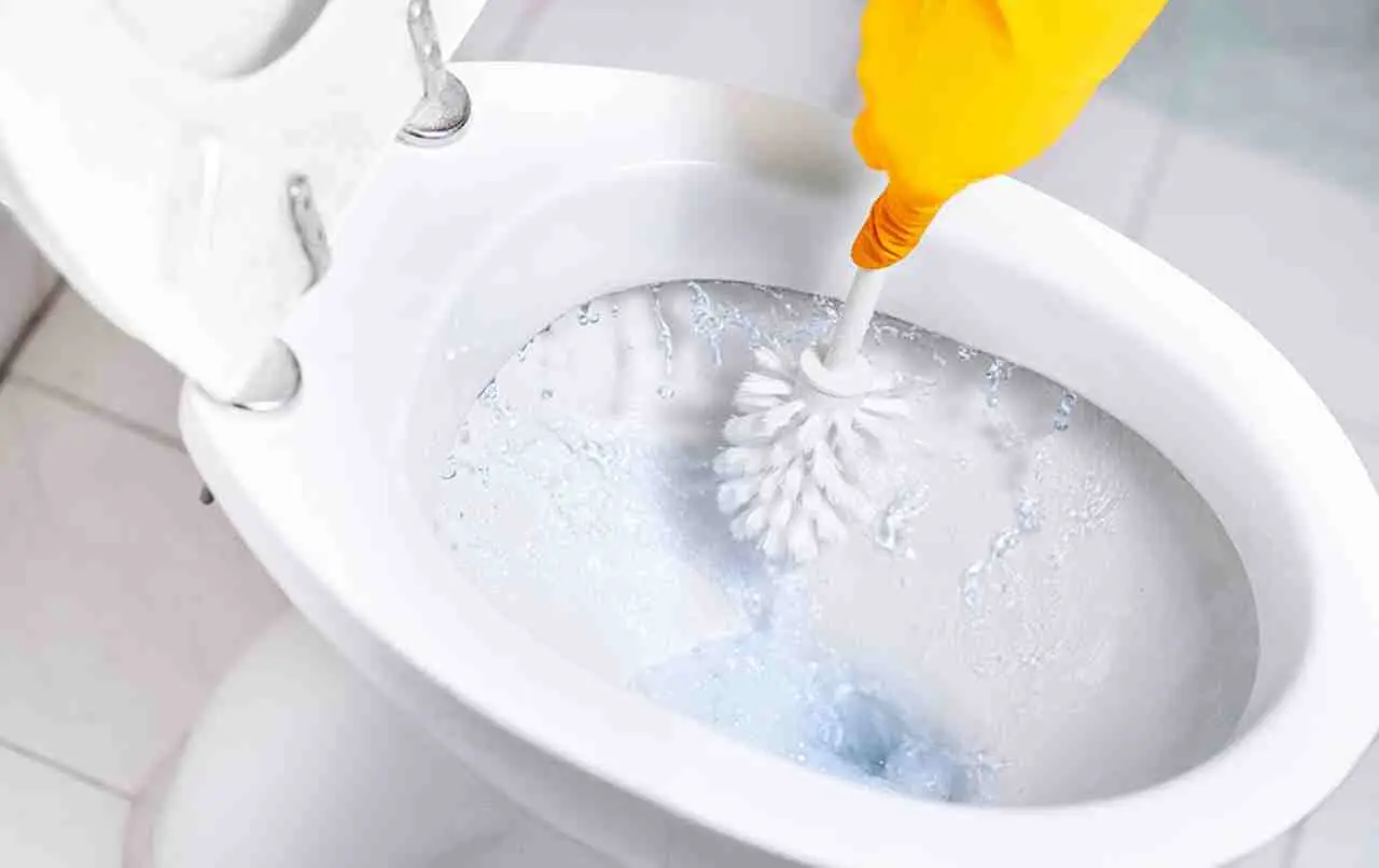 Trucchi semplici ed efficaci per mantenere sempre pulito il fondo del water: ecco cosa funziona davvero