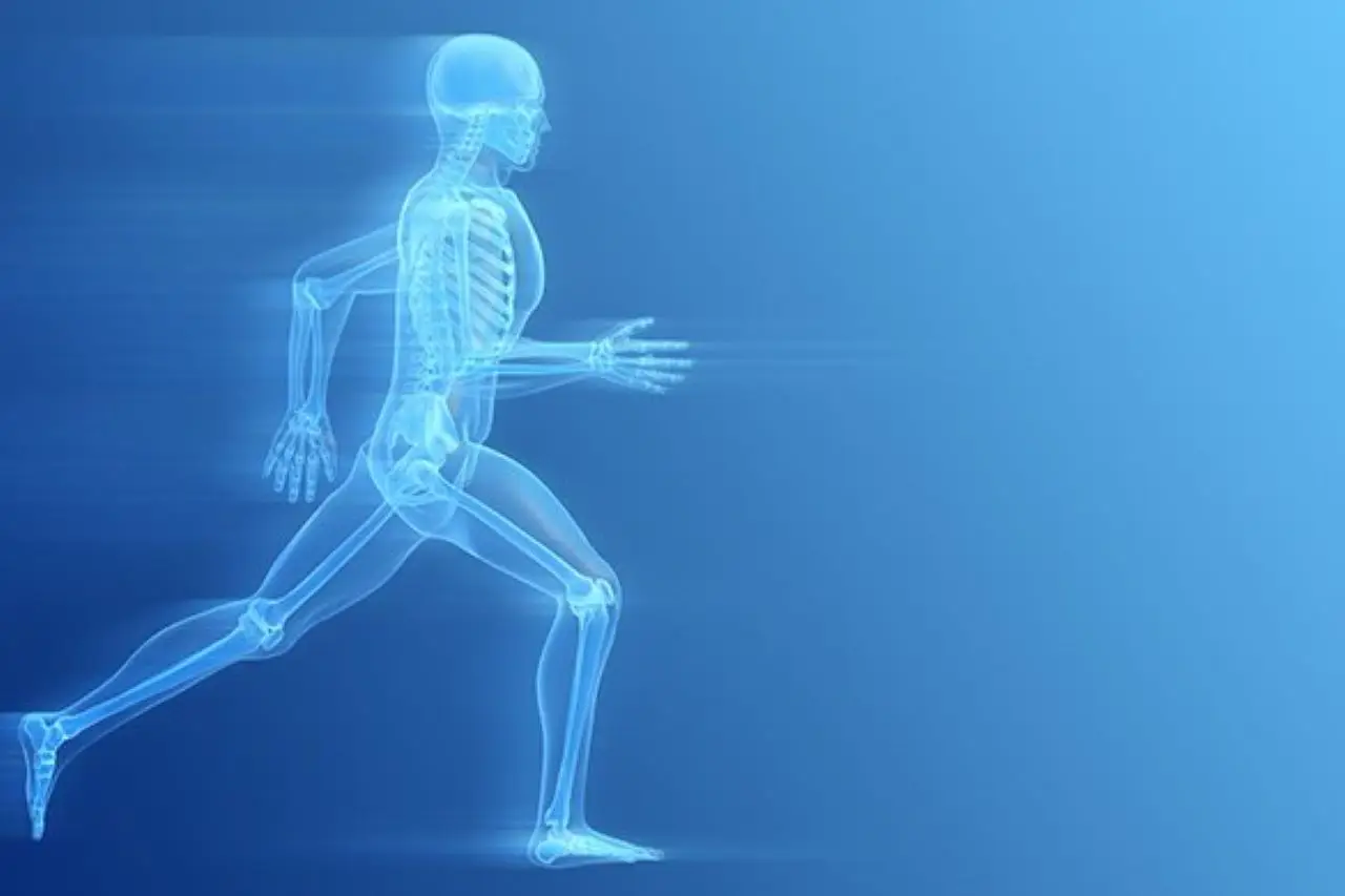 Osteoporosi e attività fisica: perché camminare fa bene alle ossa (anche se non sei un esperto)