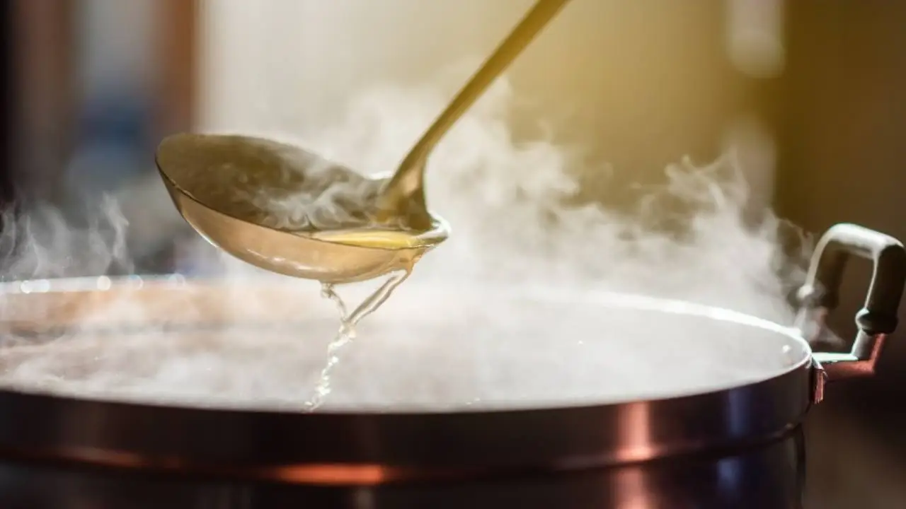 Come riciclare l’acqua di cottura della pasta per dare nuova vita alle tue piante ornamentali