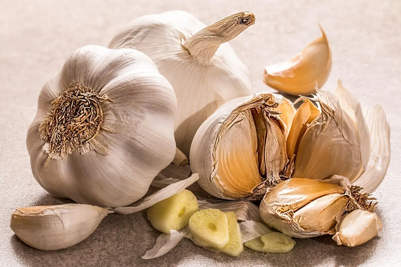 Antibiotici naturali fai da te: quali ingredienti scegliere e cosa sapere prima di prepararli in casa