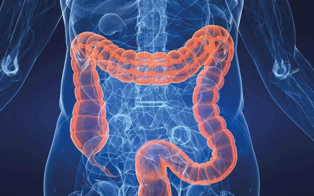 I 7 cibi per pulire l’intestino e riavviare il metabolismo