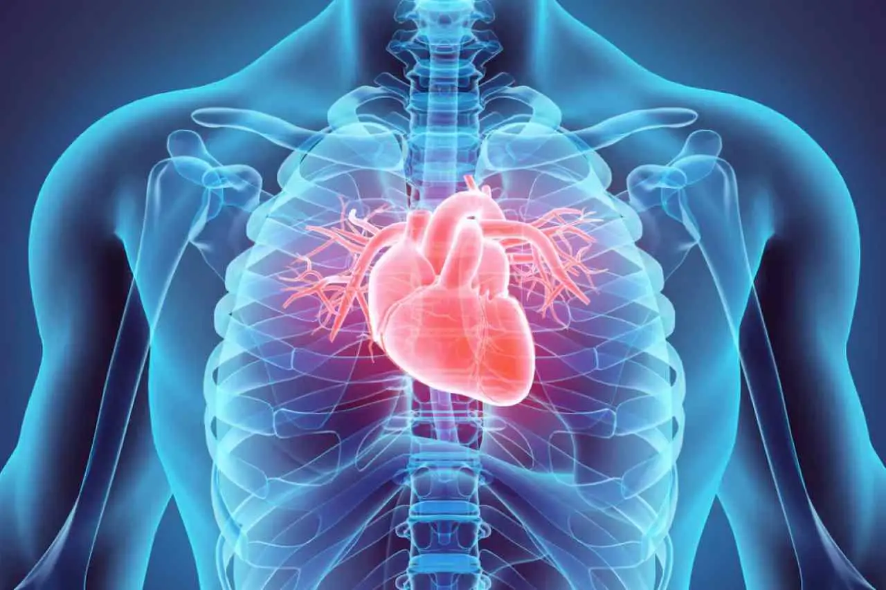 Segnali ai polsi e alla pelle: ecco come il tuo cuore ti rivela se sta lavorando correttamente