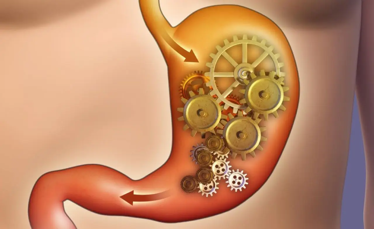 Cosa è il profilo metabolico? L’esame che ti aiuta a scoprirlo