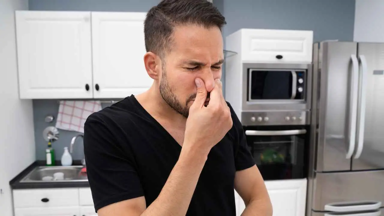 Percepisci strani odori inesistenti? Ecco la parte nascosta del naso che potrebbe essere danneggiata