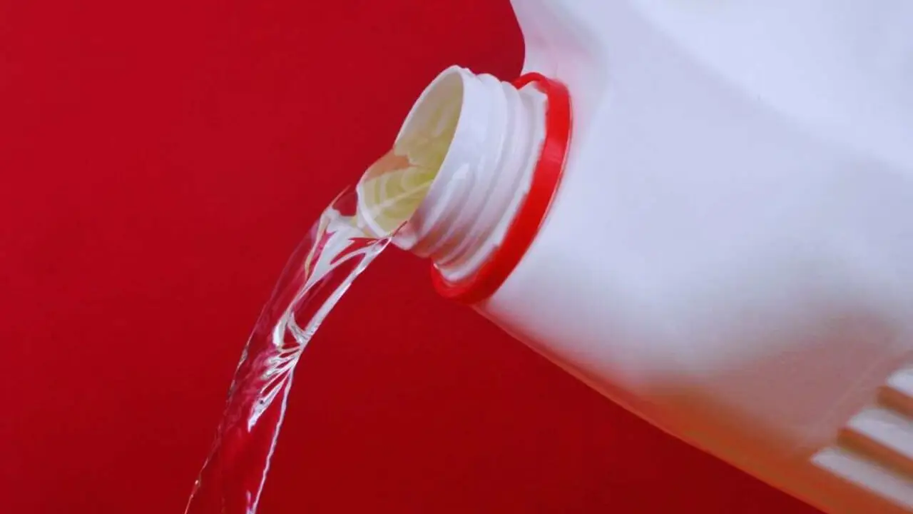 Candeggina: ecco cosa uccide davvero (e cosa invece resiste a questo disinfettante)