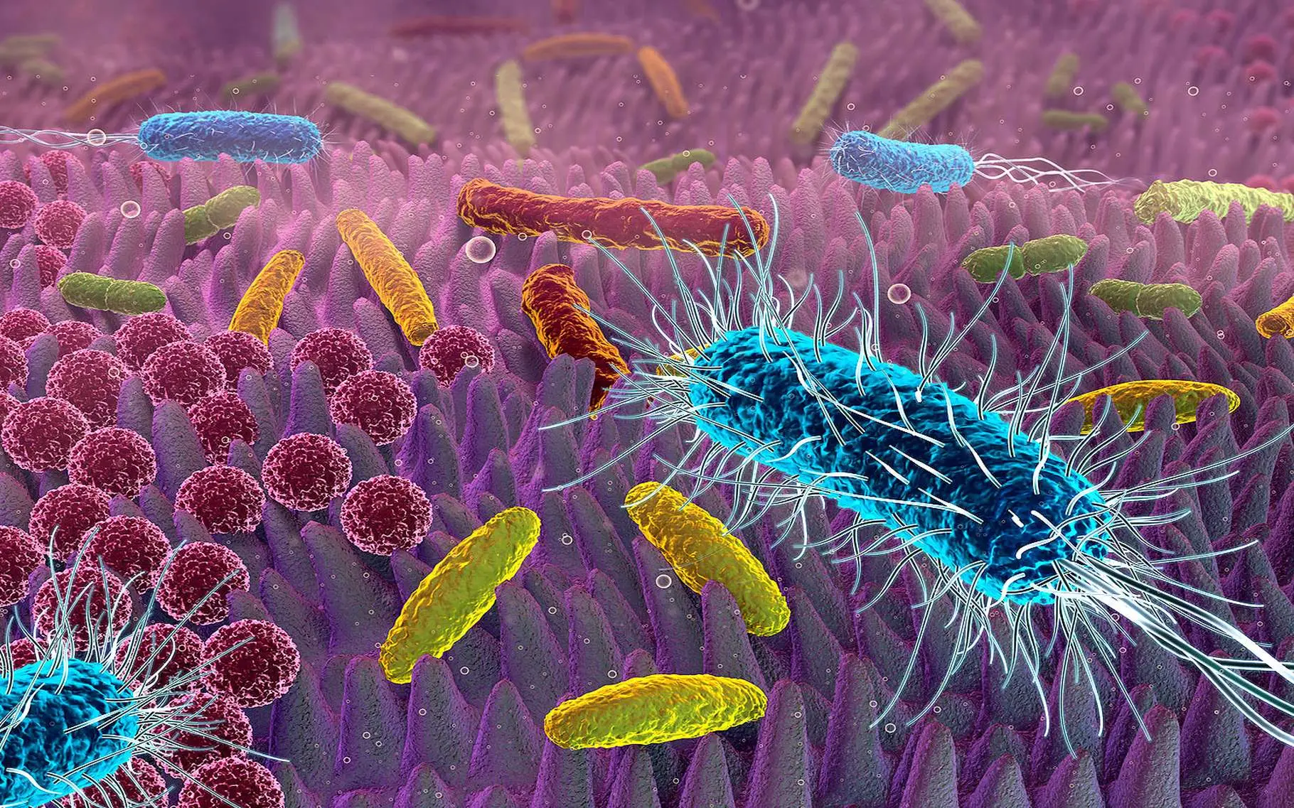 La nuova scoperta che promette di sconfiggere i batteri resistenti agli antibiotici: ecco cos’è