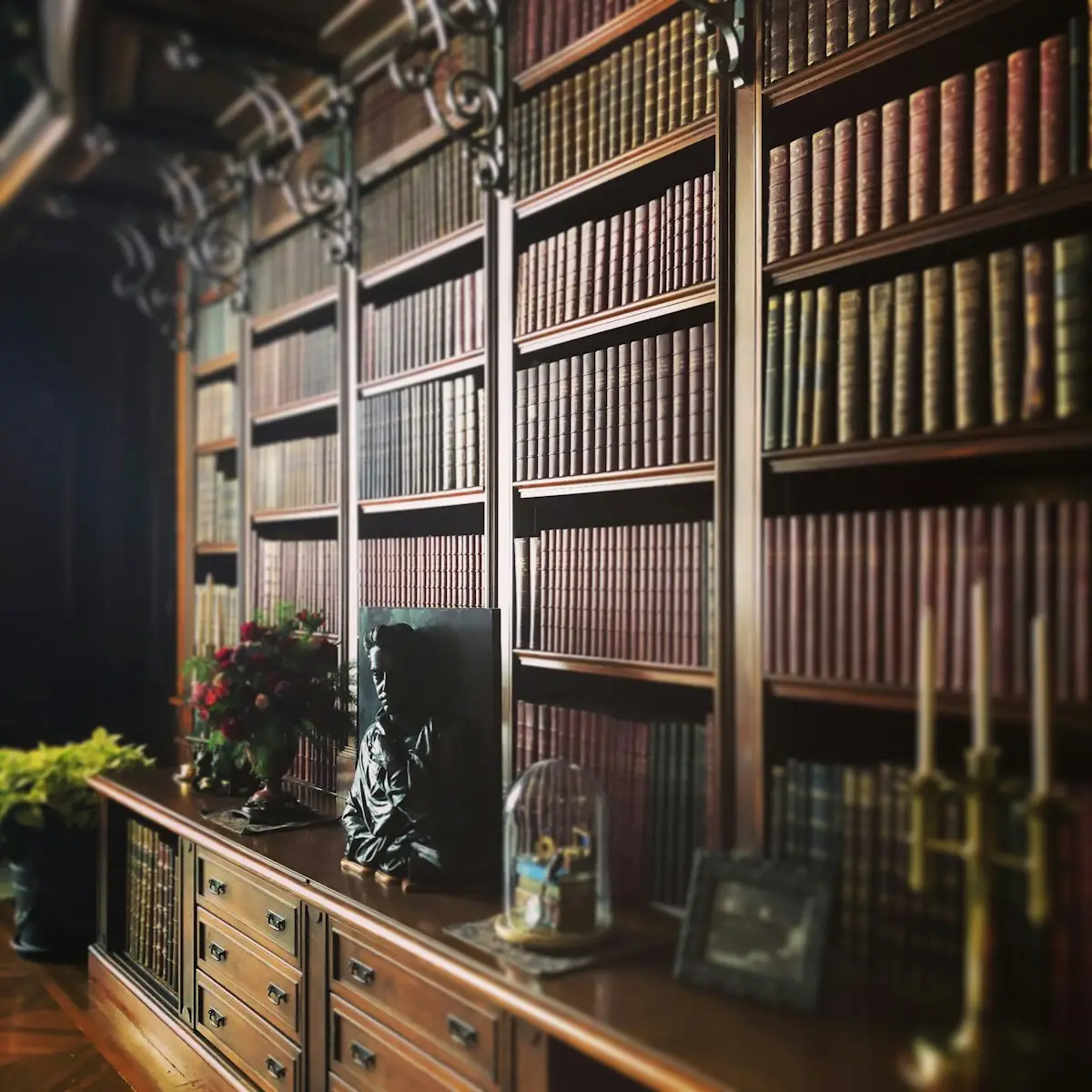 Allarme libreria: ecco perché questi insetti mangiano carta e come eliminarli