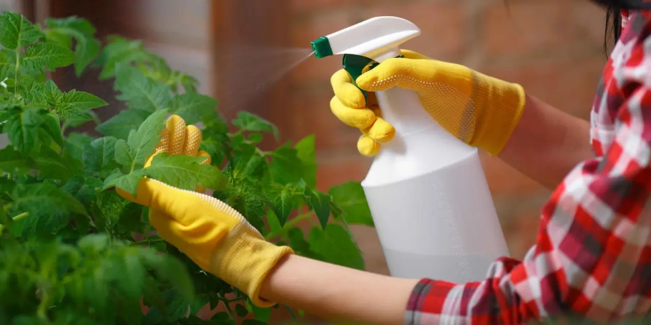 Che cos’è un disabituante naturale? Ecco la soluzione definitiva contro i parassiti