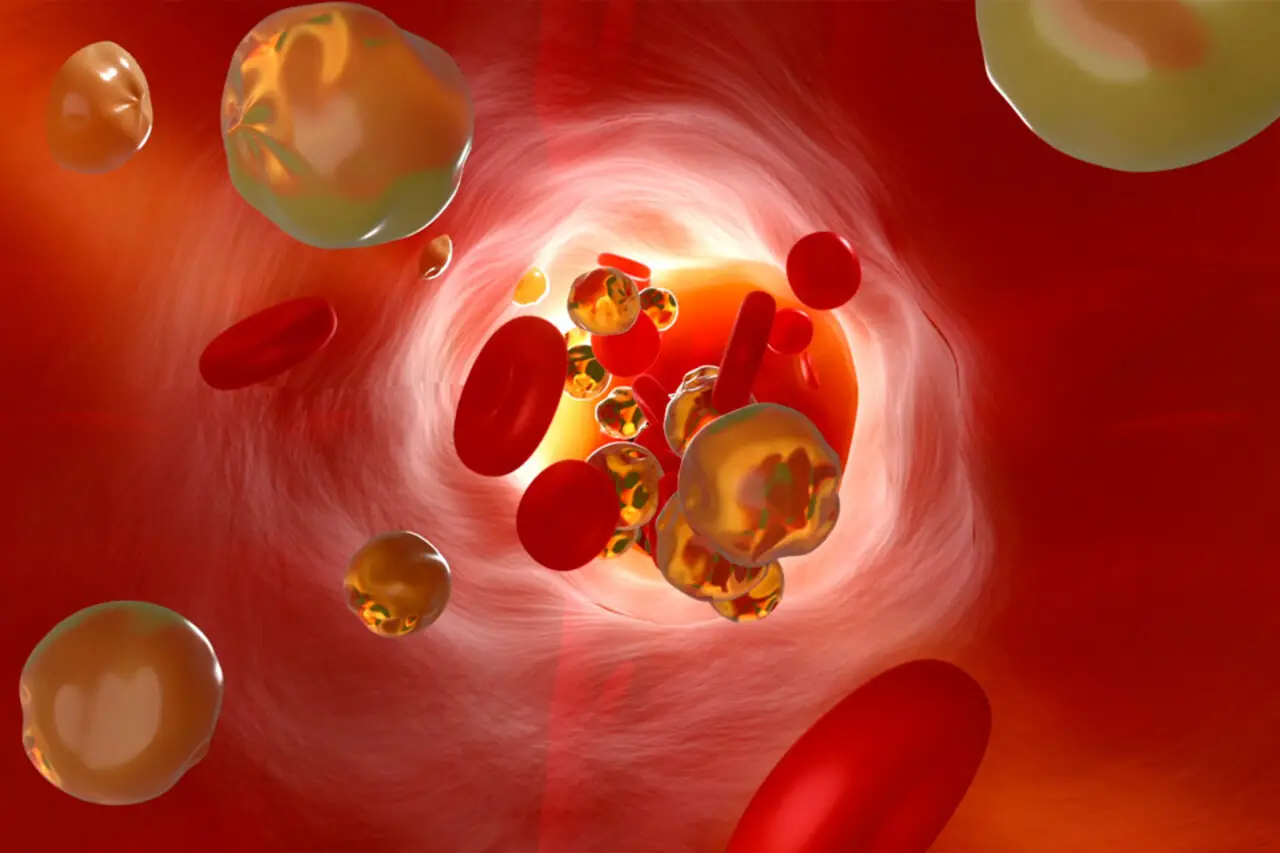 Allarme salute: ecco i sintomi gravi di quando nel sangue c’è troppa anidride carbonica