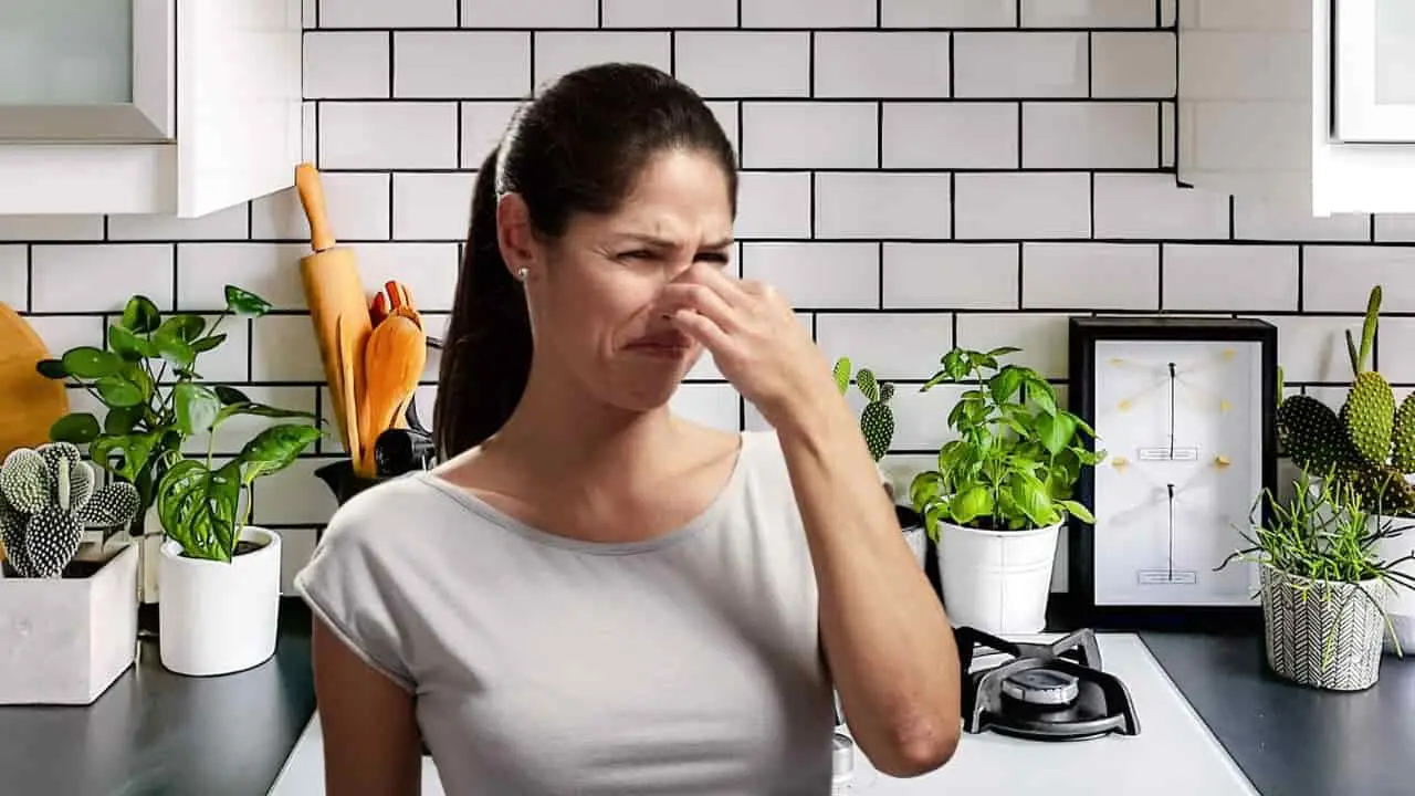 Se la tua stanza puzza anche pulendo questo è il colpevole nascosto che non immagini