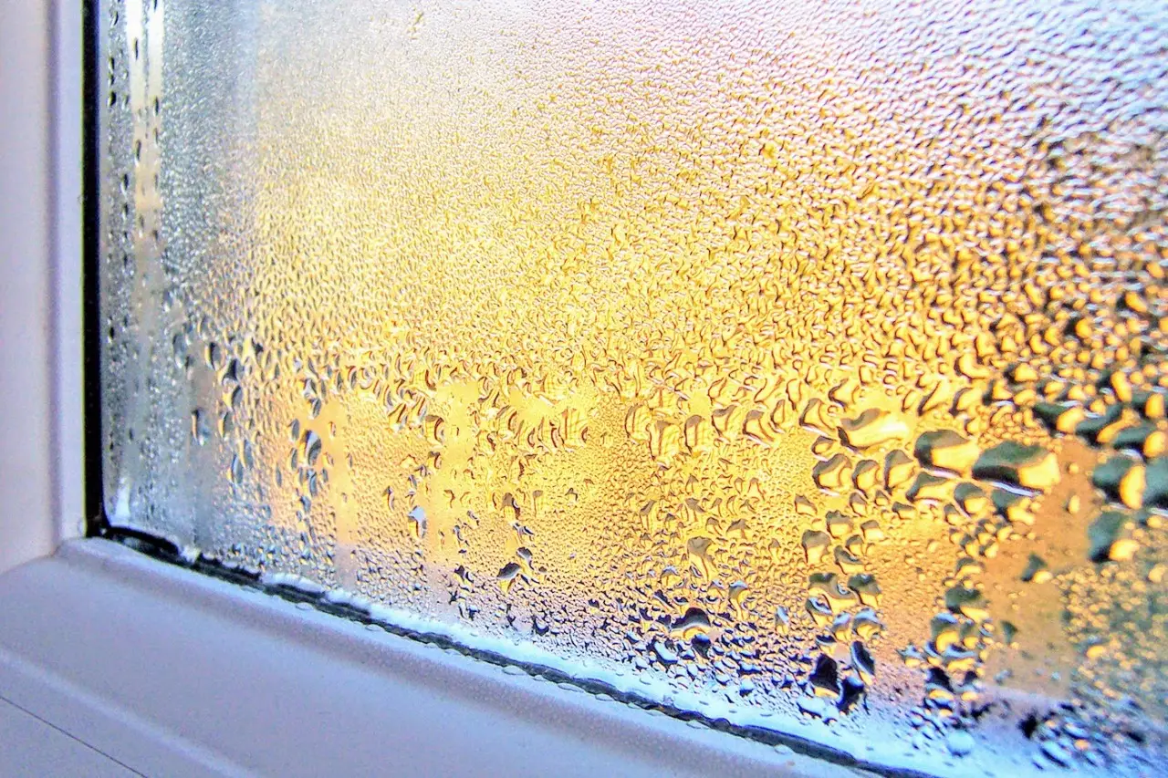 Fa più caldo quando l’umidità è alta? Ecco la verità scientifica su cosa succede al tuo corpo