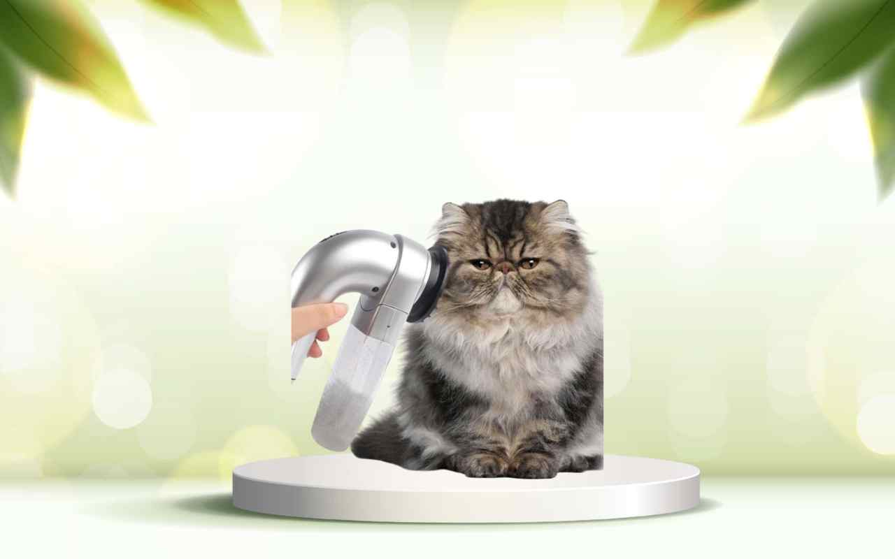 Elimina i peli degli animali in casa: prova SpazzolAmica per una pulizia perfetta